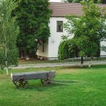 IMG_2048